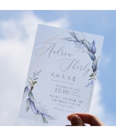 忘憂森林▸霧透卡 B9507